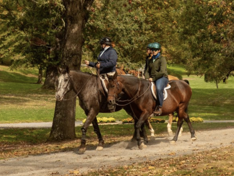 The Greenbrier – White Sulphur Springs, WV